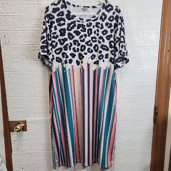Crazy Train Dresses & Skirts - Crazy Train Leopard and Striped Dress